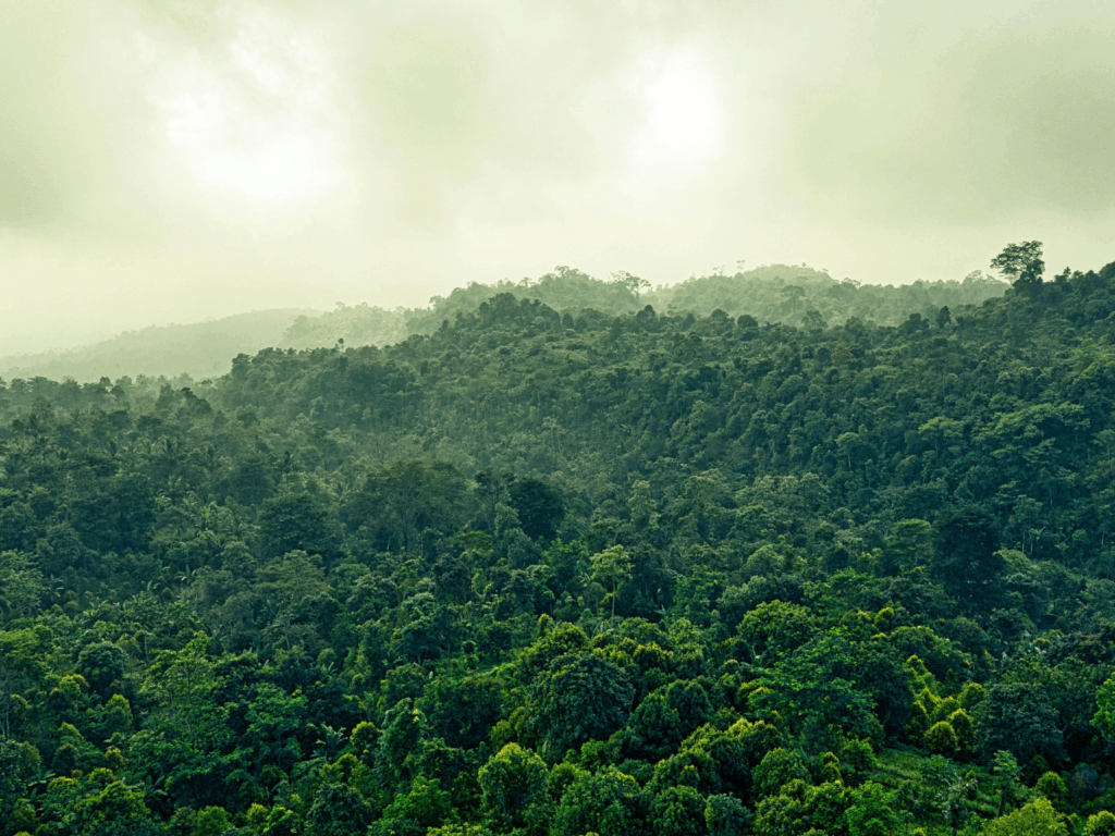 FSC certificaat P&D Group